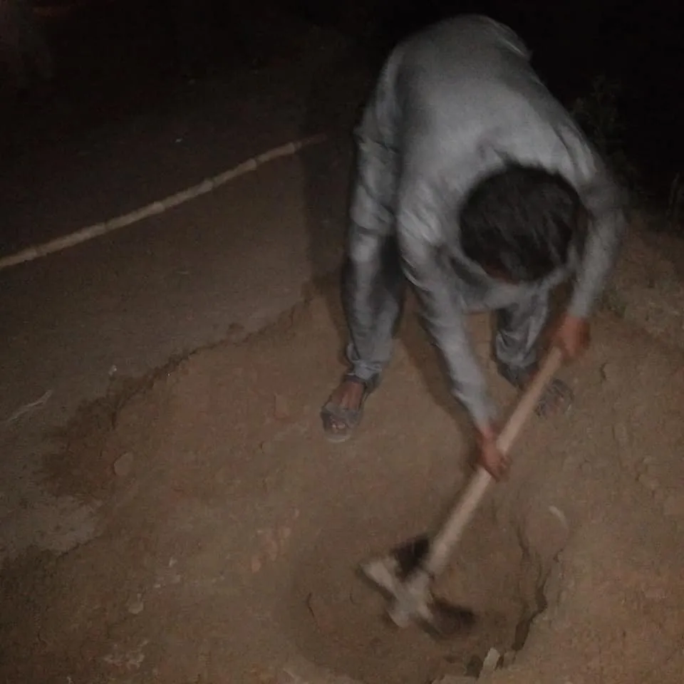 Green Seekers Activity